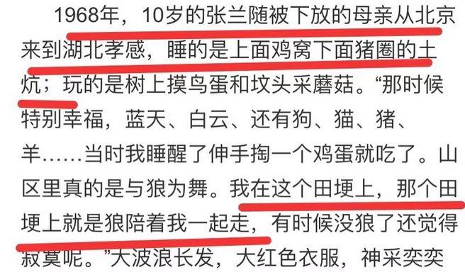 从餐饮界LV沦落到卖盒饭，张兰是如何把一手好牌打烂的？