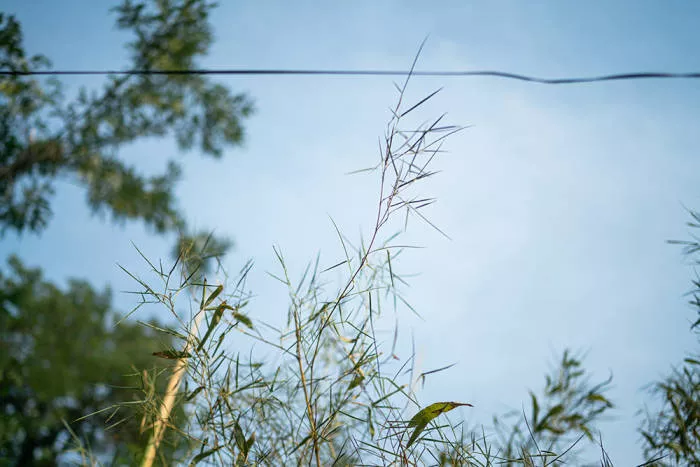 直击河南干旱:“活了50年,没见过这样干旱” 直击河南干旱:“活了50年,没见过这样干旱”