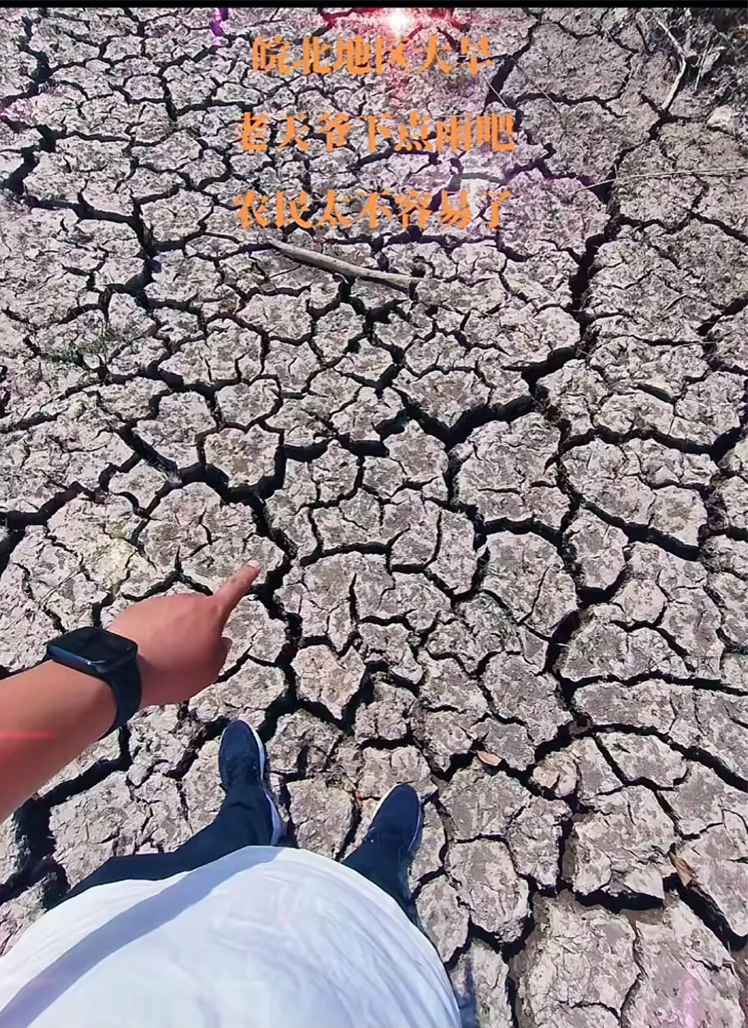 多图:安徽、河南、山东…上不了热搜的大干旱 多图:安徽、河南、山东…上不了热搜的大干旱