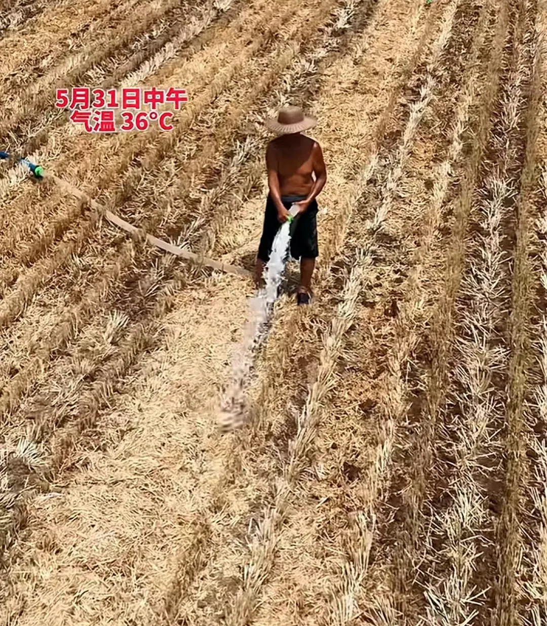 多图:安徽、河南、山东…上不了热搜的大干旱 多图:安徽、河南、山东…上不了热搜的大干旱