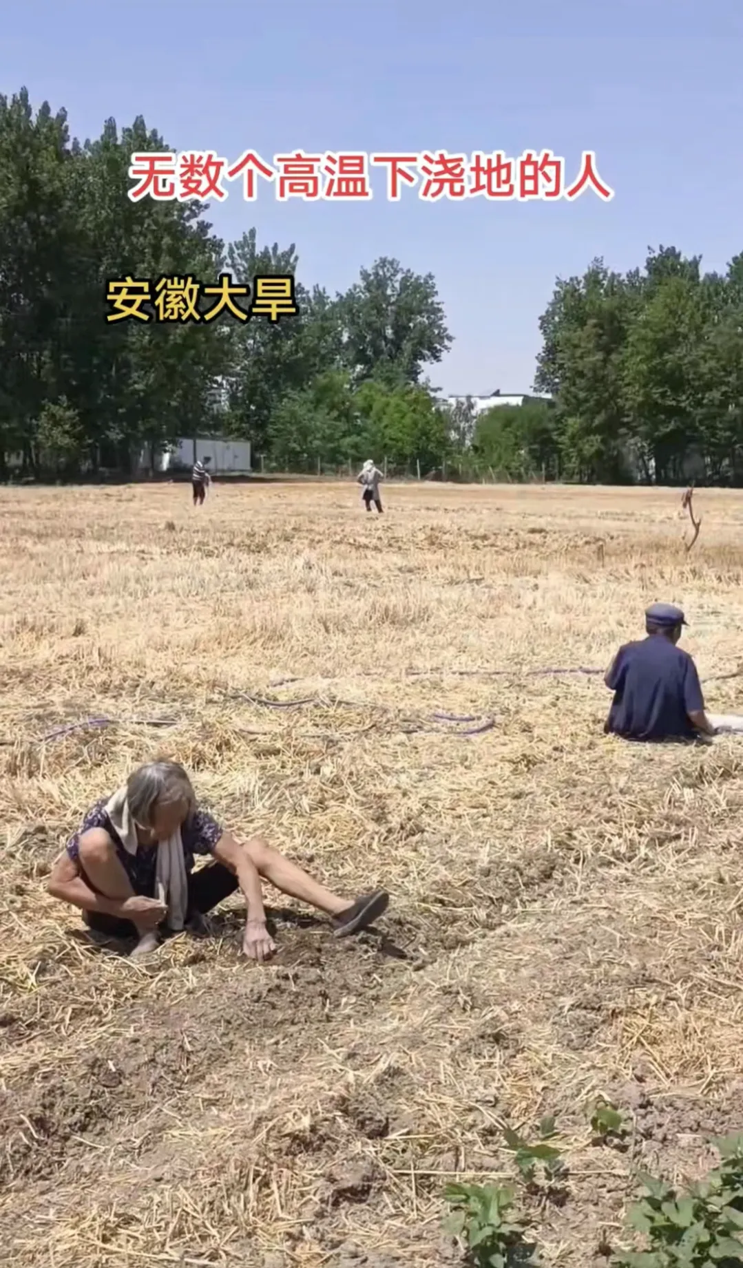 多图:安徽、河南、山东…上不了热搜的大干旱 多图:安徽、河南、山东…上不了热搜的大干旱