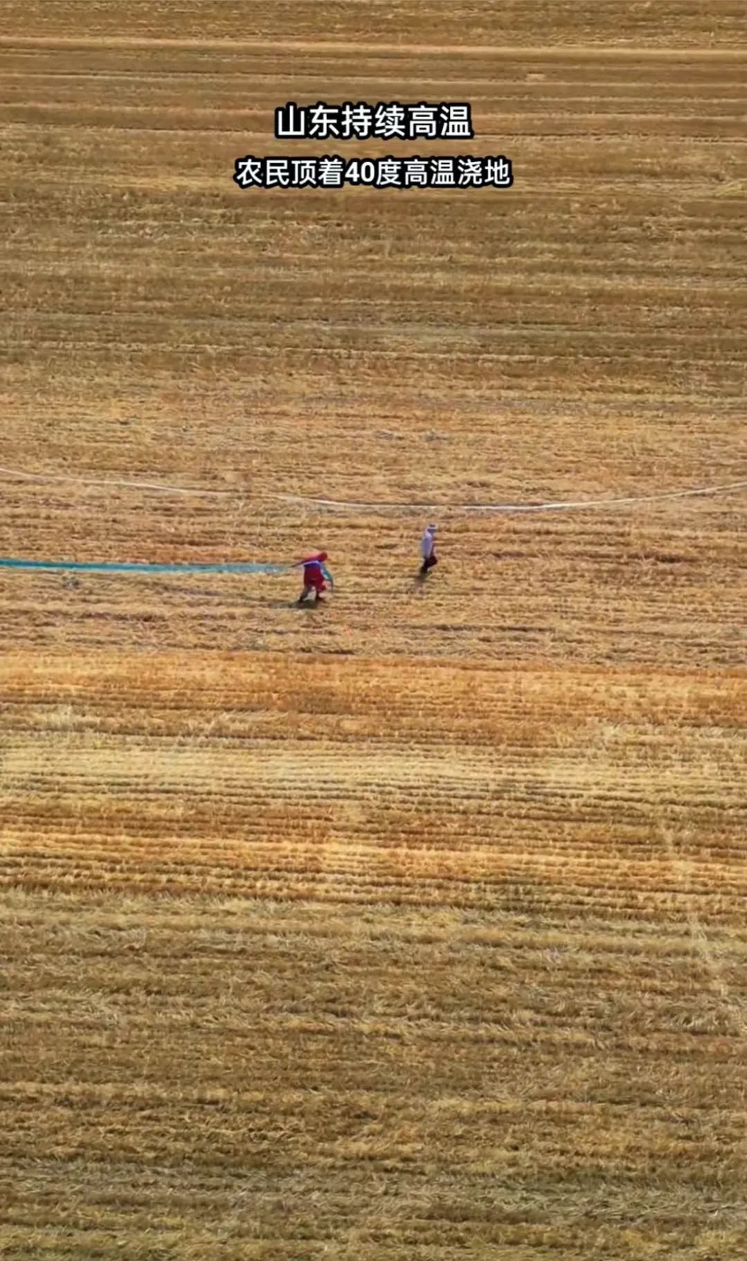多图:安徽、河南、山东…上不了热搜的大干旱 多图:安徽、河南、山东…上不了热搜的大干旱
