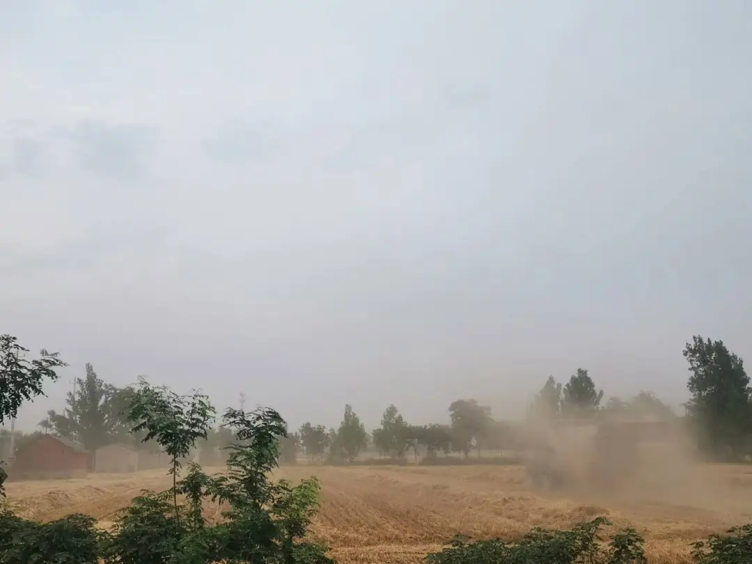 多图:安徽、河南、山东…上不了热搜的大干旱 多图:安徽、河南、山东…上不了热搜的大干旱