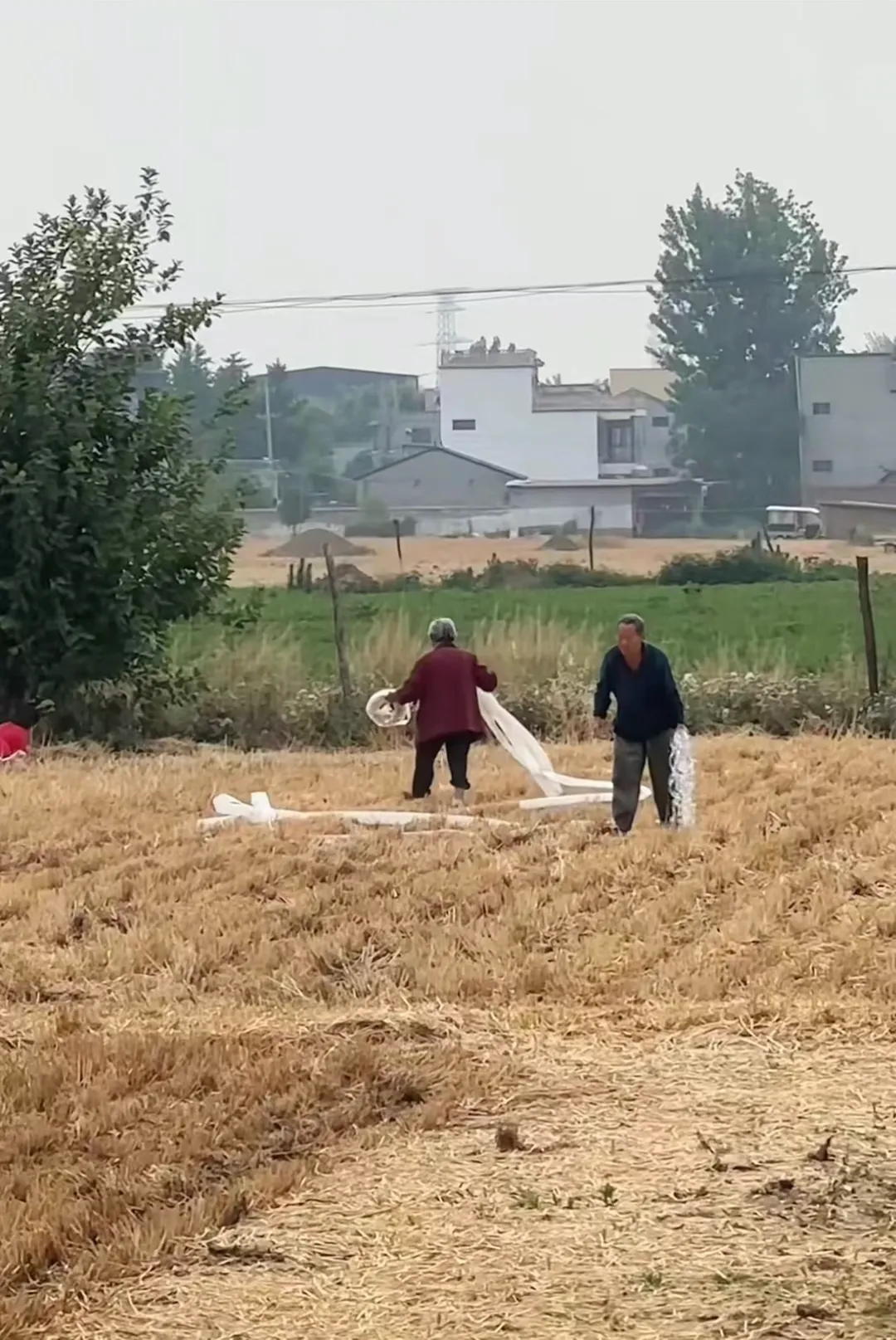 多图:安徽、河南、山东…上不了热搜的大干旱 多图:安徽、河南、山东…上不了热搜的大干旱