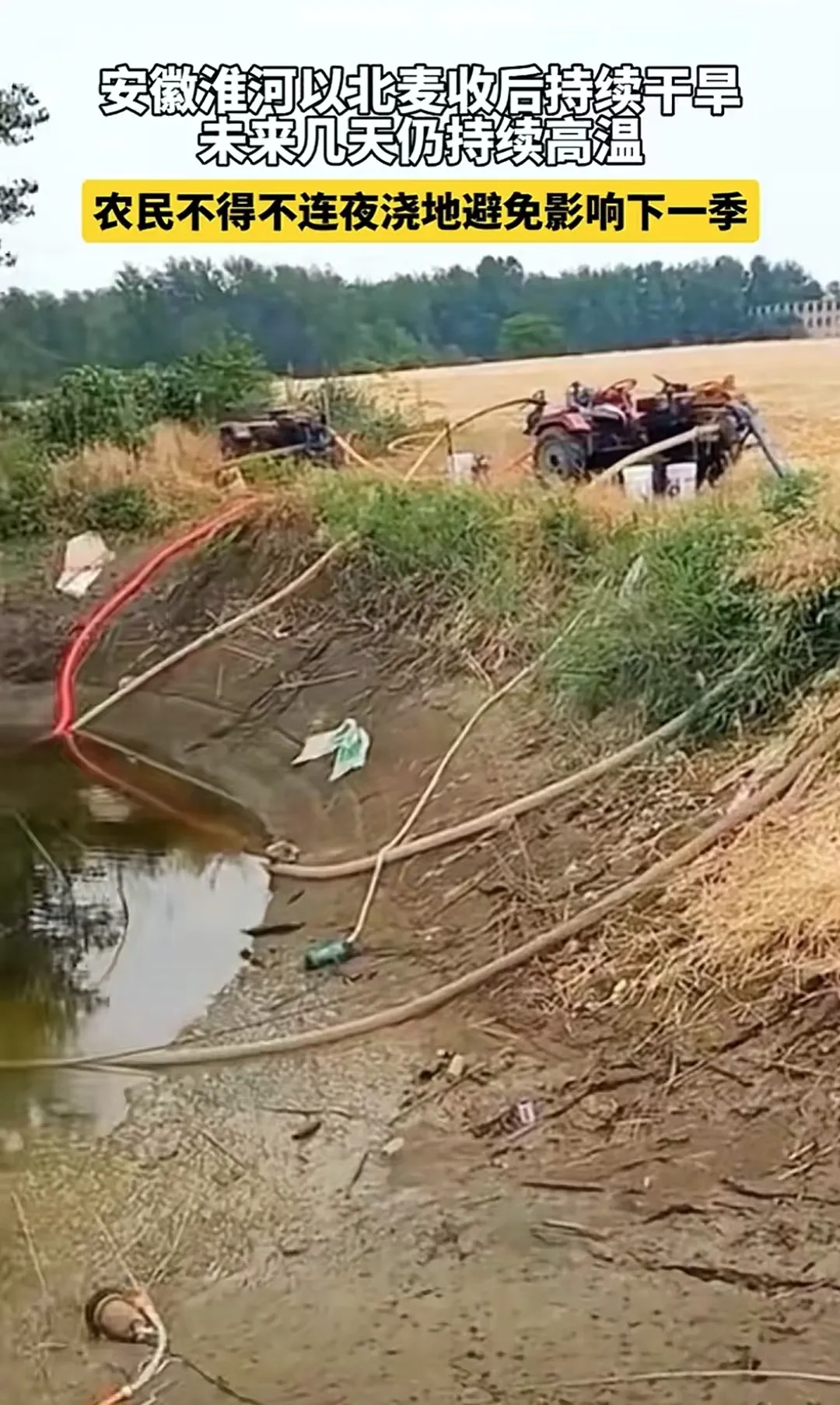 多图:安徽、河南、山东…上不了热搜的大干旱 多图:安徽、河南、山东…上不了热搜的大干旱