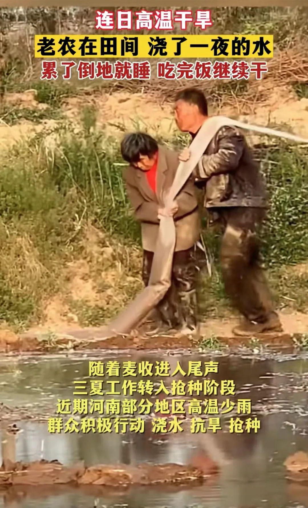 多图:安徽、河南、山东…上不了热搜的大干旱 多图:安徽、河南、山东…上不了热搜的大干旱