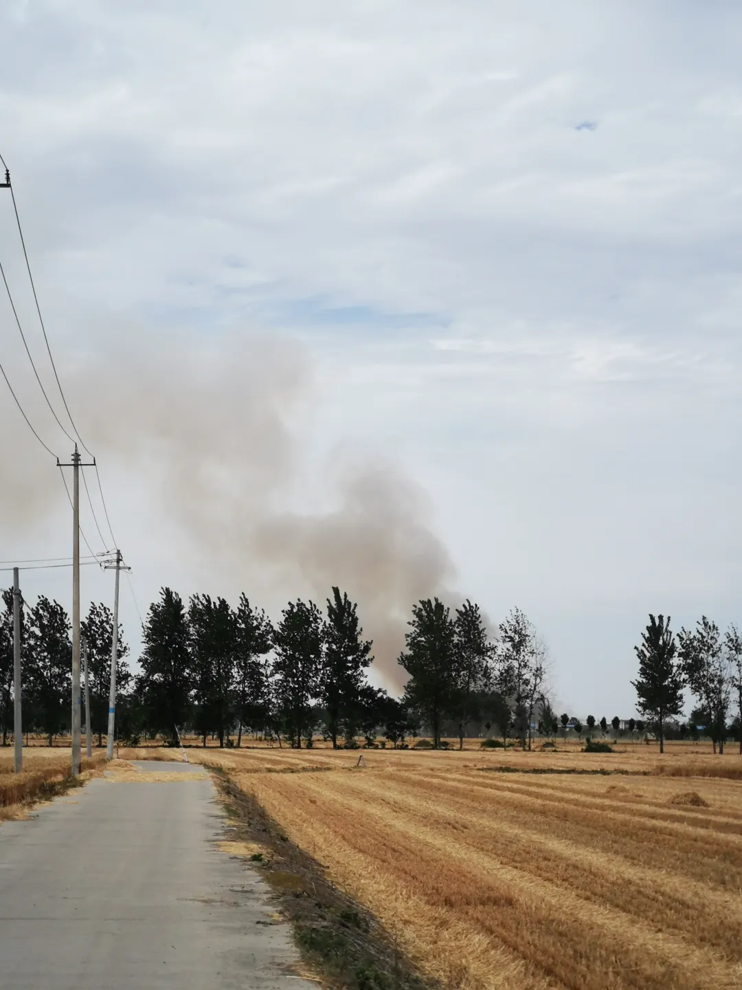 多图:安徽、河南、山东…上不了热搜的大干旱 多图:安徽、河南、山东…上不了热搜的大干旱