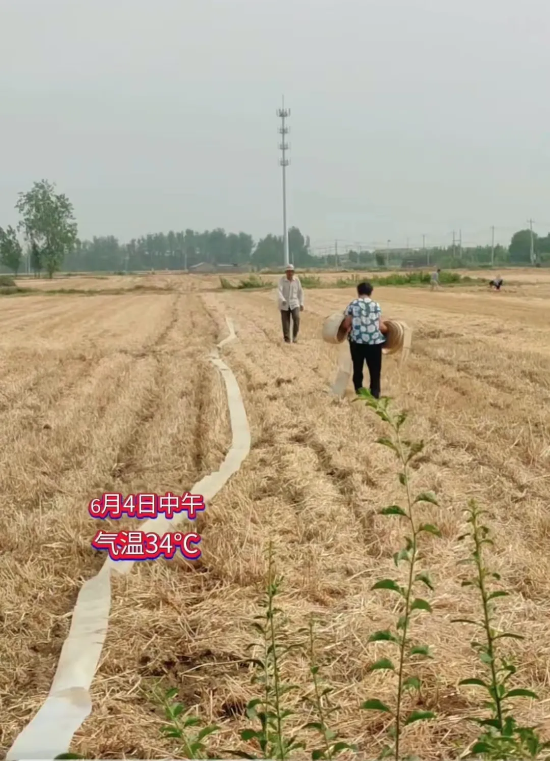 多图:安徽、河南、山东…上不了热搜的大干旱 多图:安徽、河南、山东…上不了热搜的大干旱